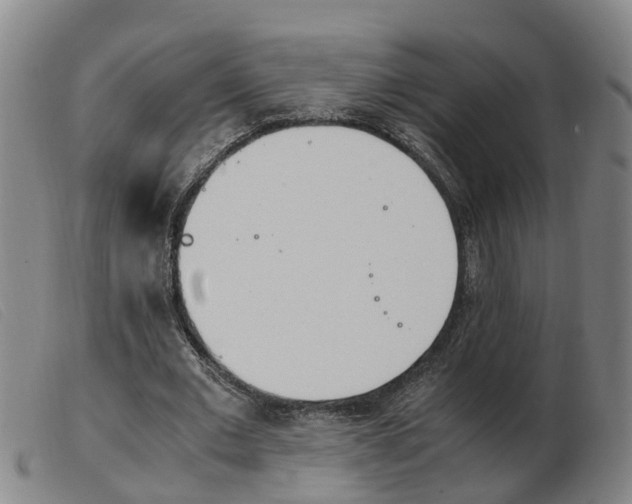 X0000103940677200809191148