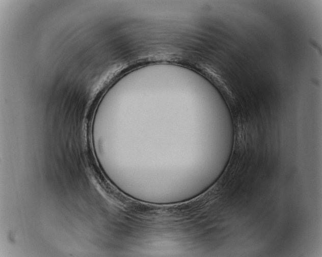 X0000103940678200809191148