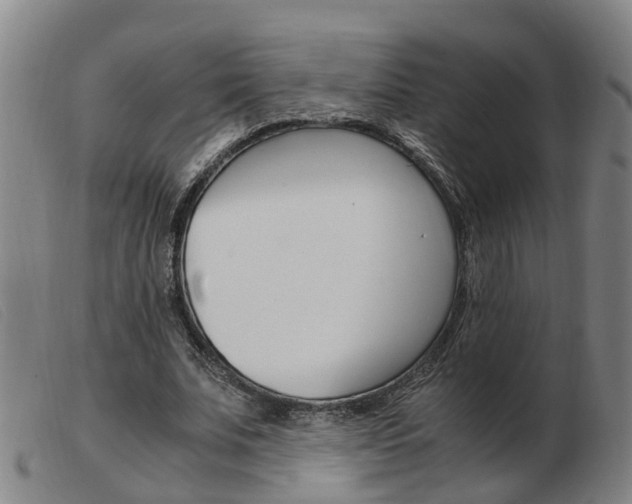 X0000103940679200809191148