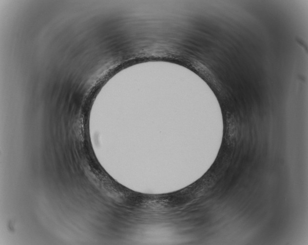 X0000103940680200809191148