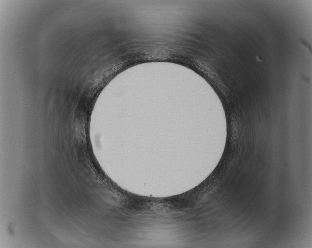 X0000103940681200809191148