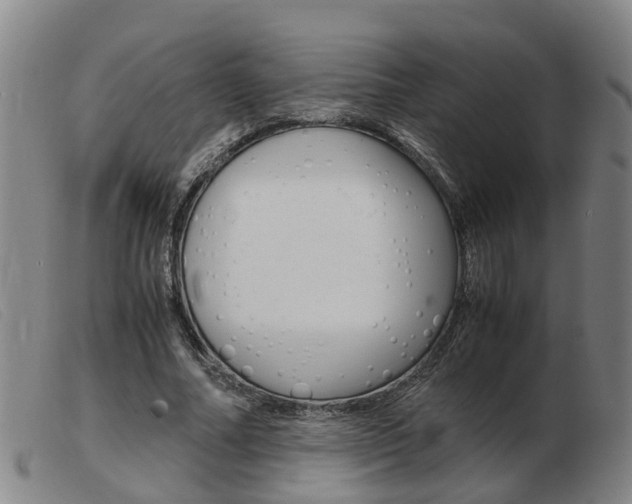 X0000103940682200809191148