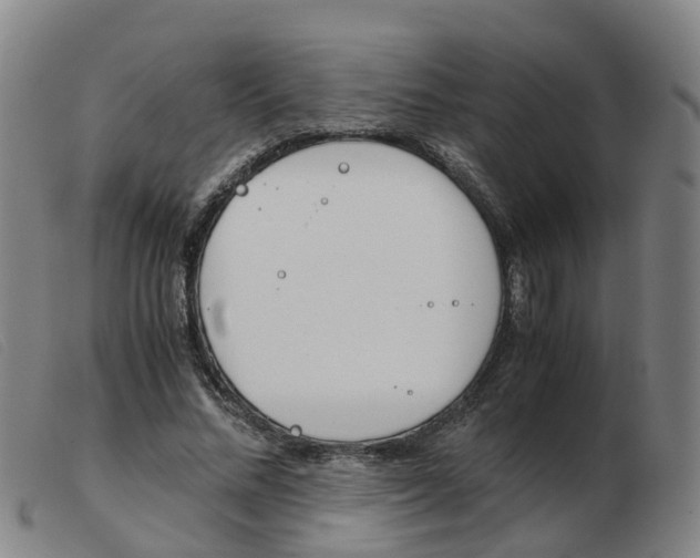 X0000103940684200809191148
