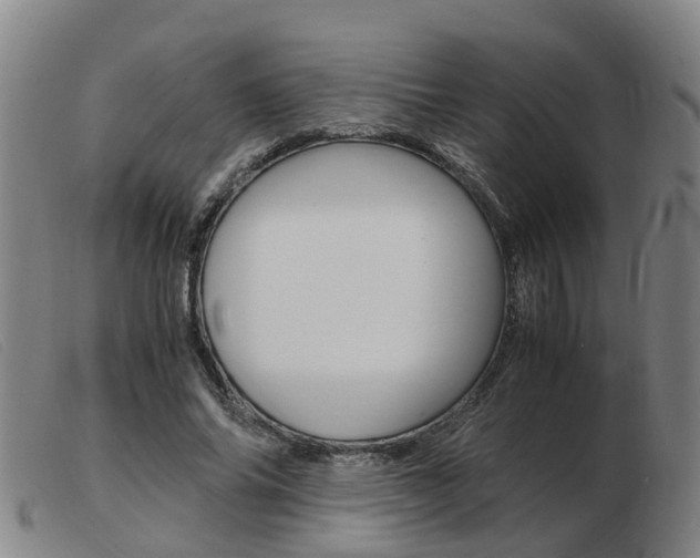 X0000103940686200809191148