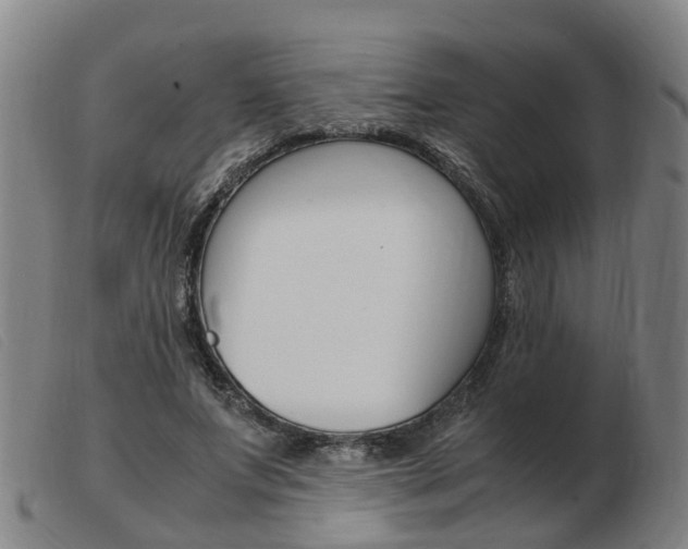 X0000103940687200809191148