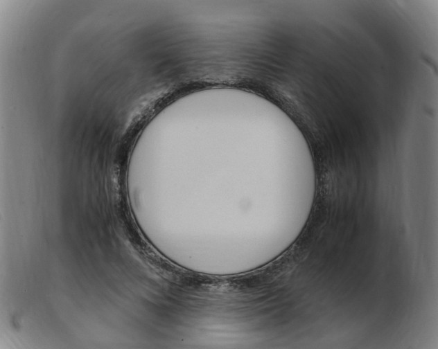 X0000103940688200809191148