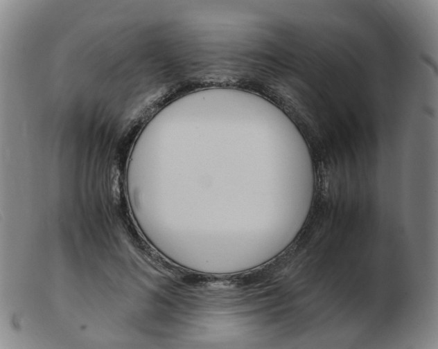 X0000103940692200809191148