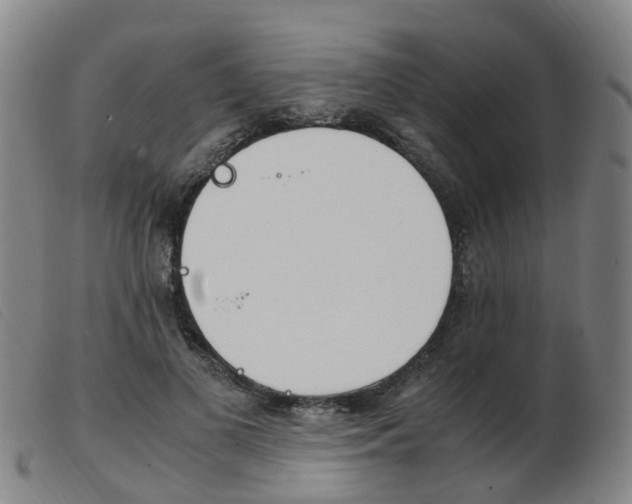 X0000103940693200809191148