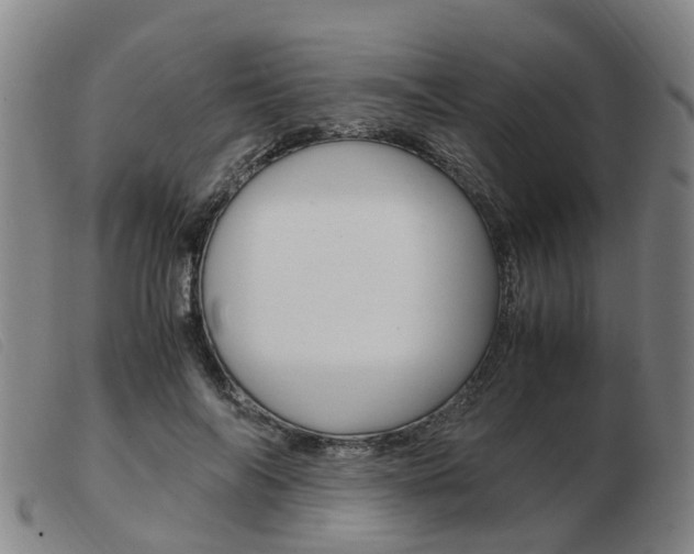 X0000103940694200809191148