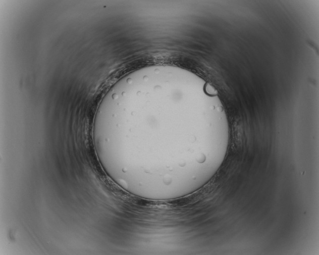 X0000103940698200809191148