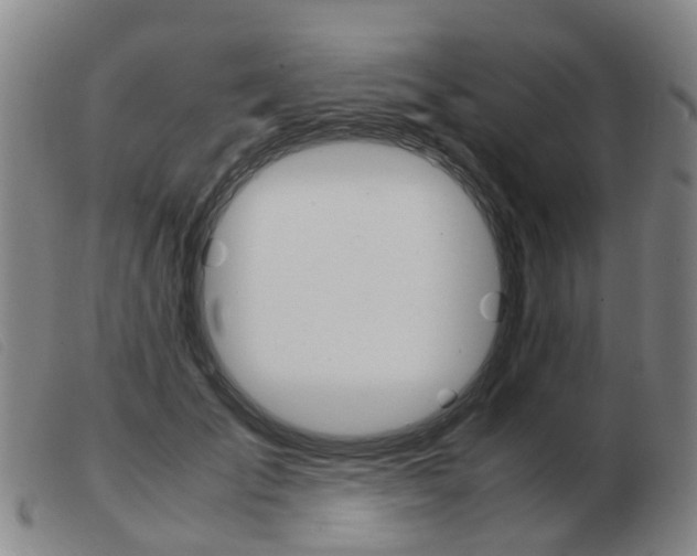 X0000103940701200809191148