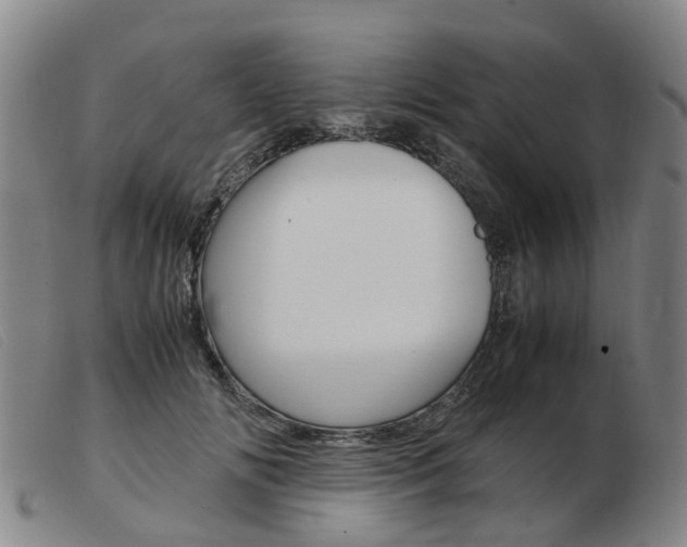 X0000103940702200809191148