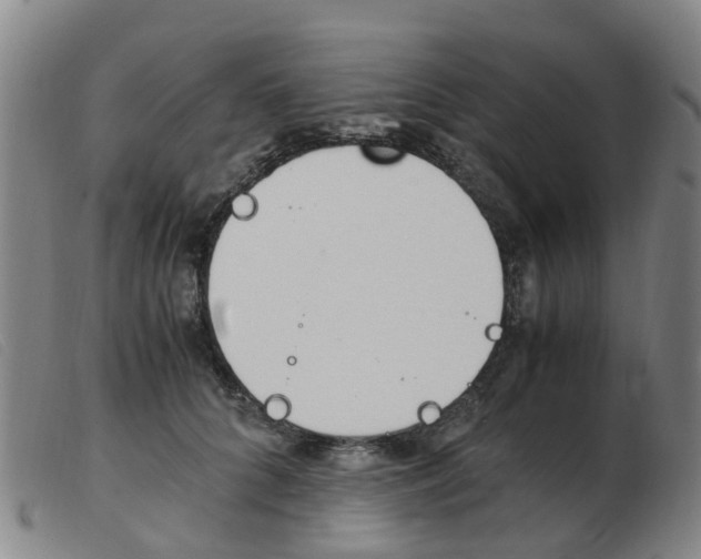 X0000103940704200809191148