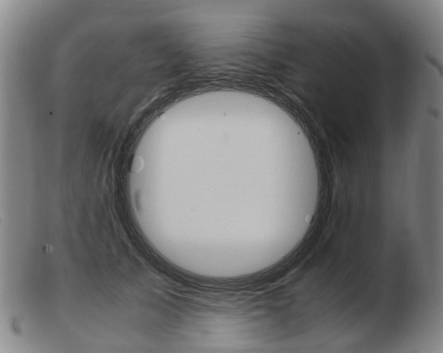 X0000103940705200809191148