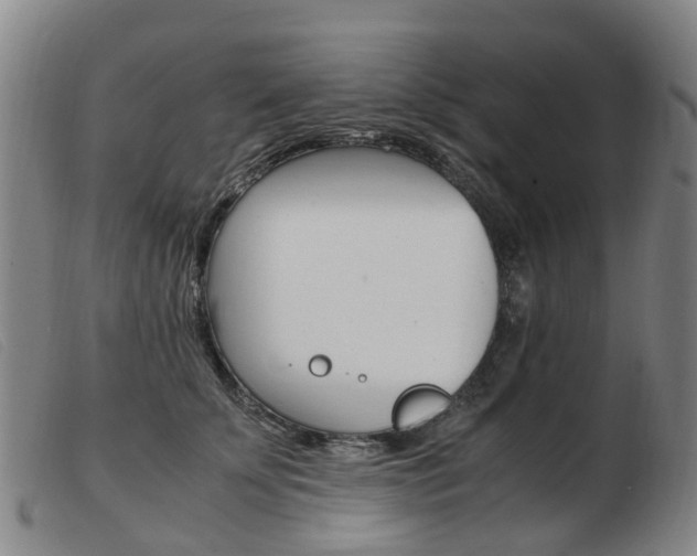 X0000103940707200809191148