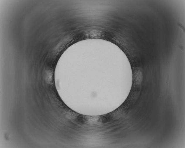 X0000103940709200809191148