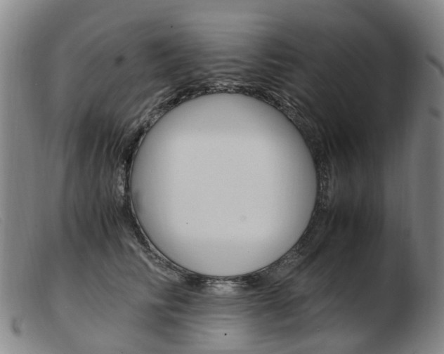 X0000103940710200809191148