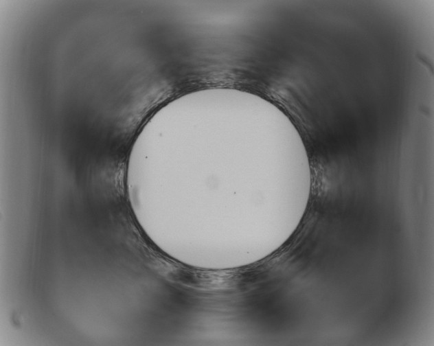 X0000103940717200809191147