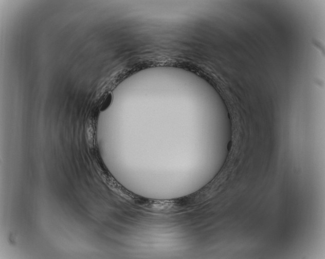 X0000103940720200809191147