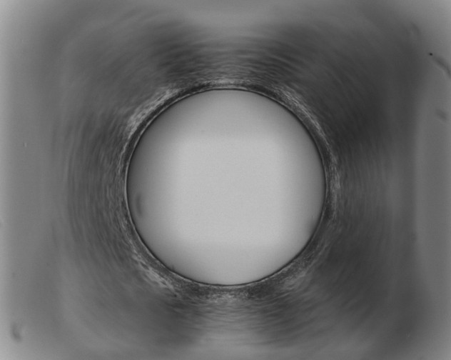 X0000103940721200809191147