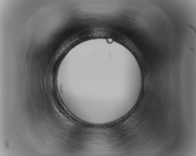 X0000103940722200809191147