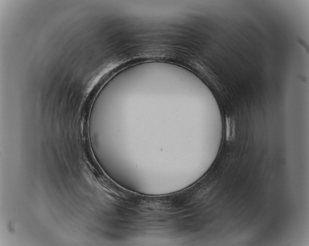 X0000103940723200809191147