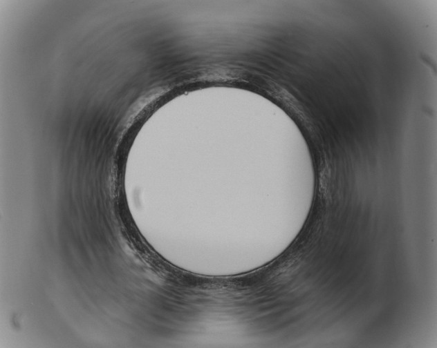 X0000103940724200809191147