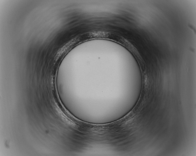 X0000103940725200809191147