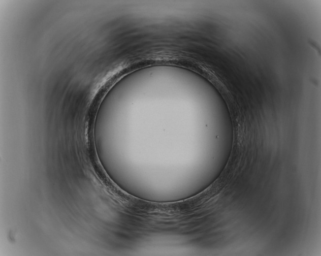 X0000103940727200809191147