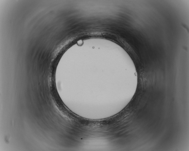 X0000103940728200809191147