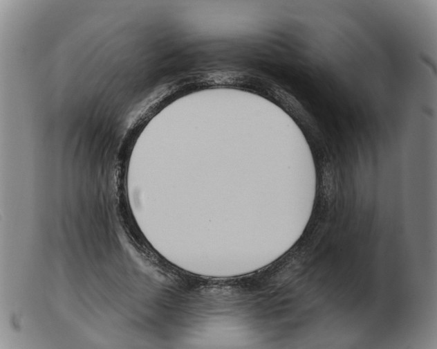X0000103940730200809191147