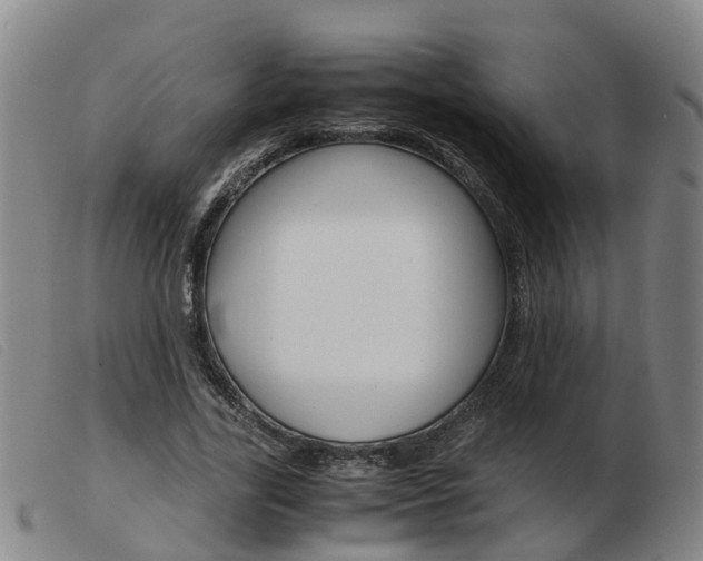 X0000103940731200809191147