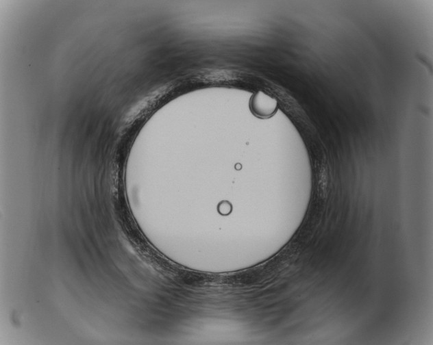 X0000103940732200809191147