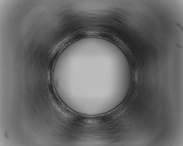 X0000103940733200809191147
