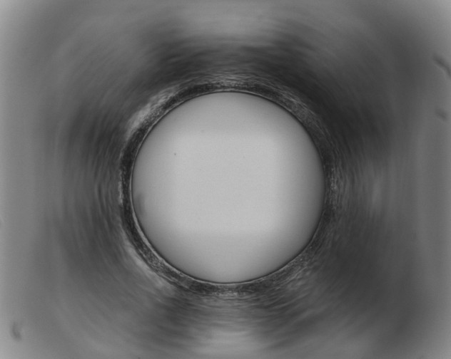X0000103940734200809191147