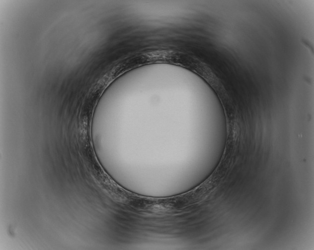 X0000103940737200809191147