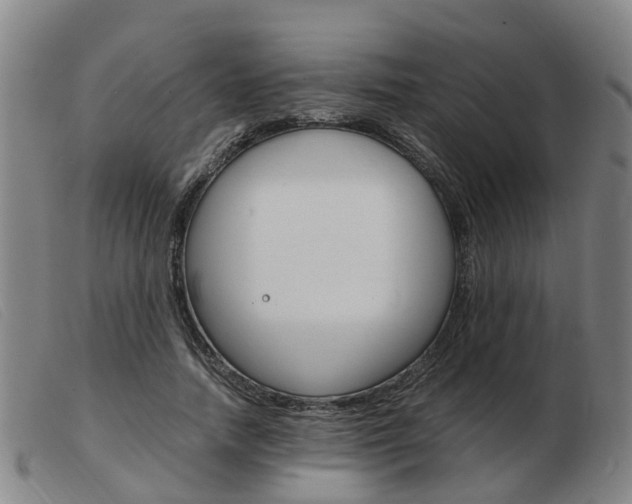 X0000103940738200809191147