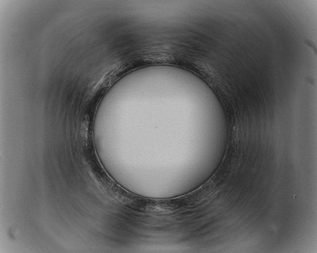 X0000103940739200809191147