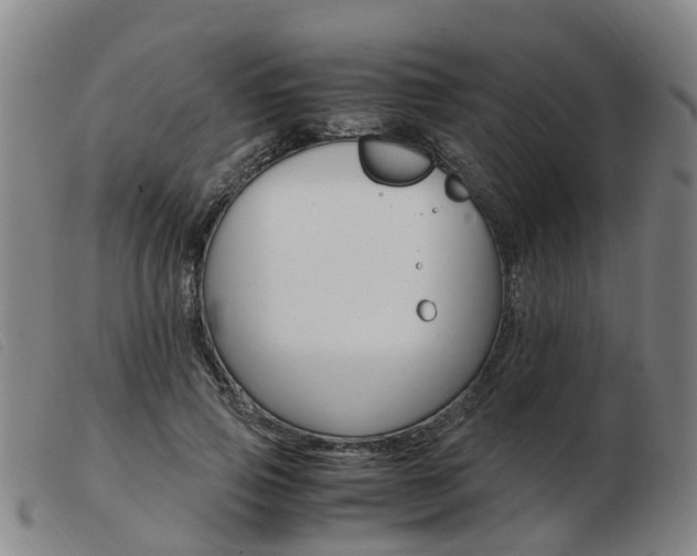 X0000103940741200809191147