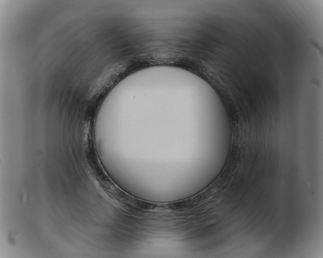 X0000103940742200809191147