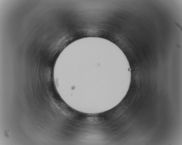 X0000103940744200809191147