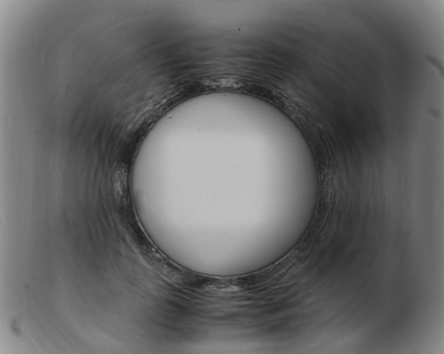X0000103940747200809191147