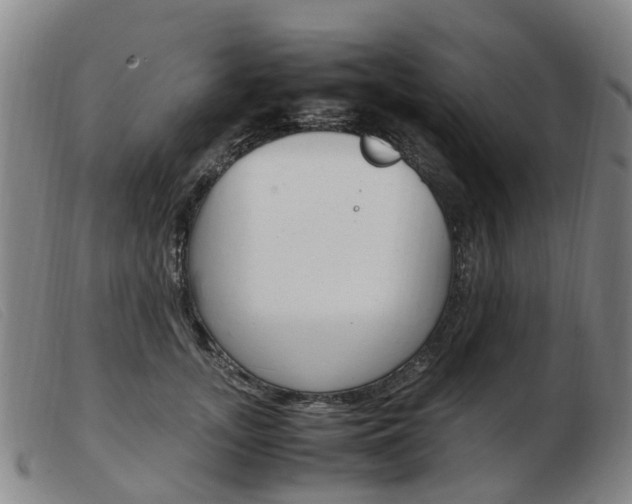 X0000103940755200809191147