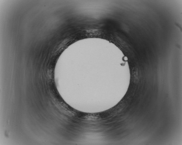 X0000103940756200809191147