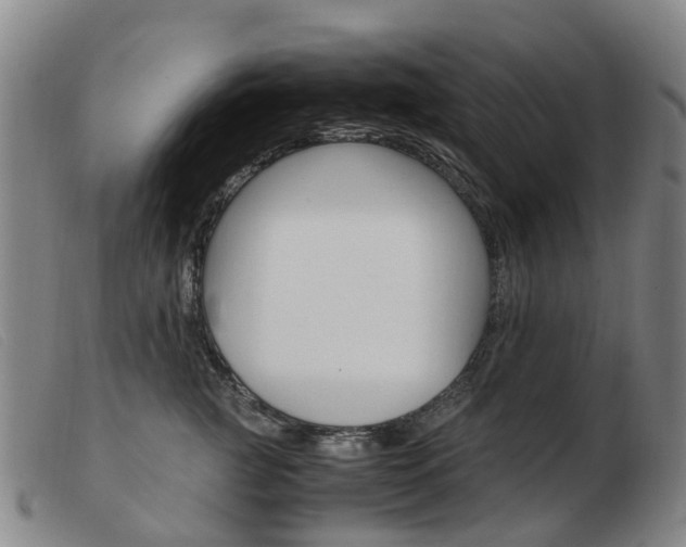 X0000103940761200809191147