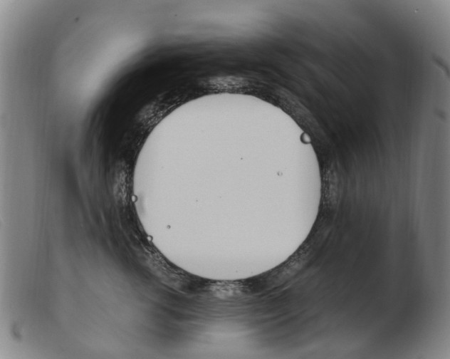 X0000103940762200809191147