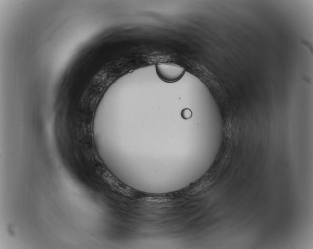 X0000103940763200809191147