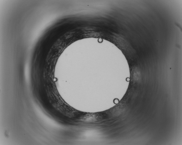 X0000103940764200809191147