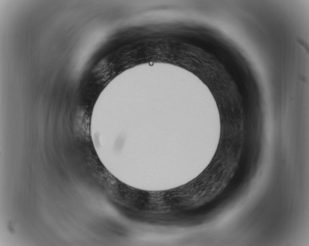 X0000103940766200809191147