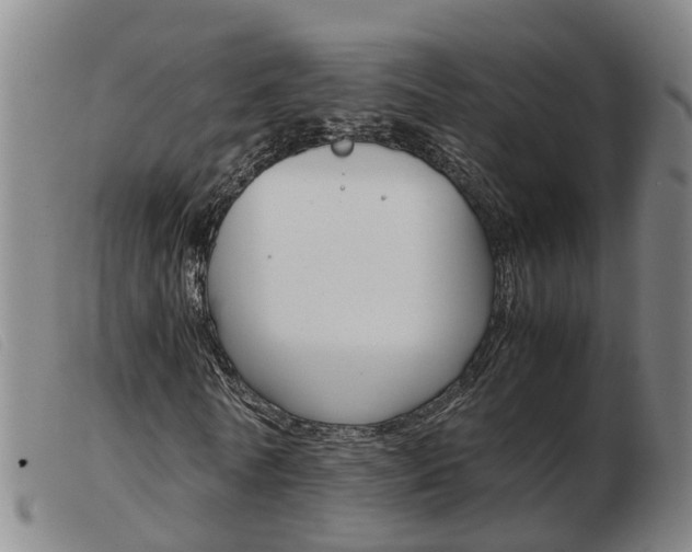 X0000103940770200809191147